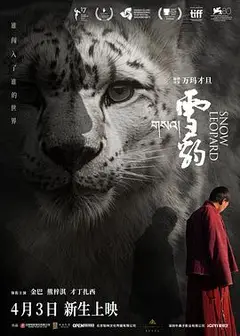 雪豹2023