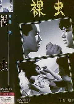 裸虫