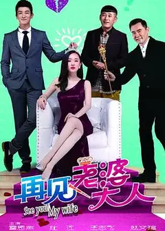 再见，老婆大人