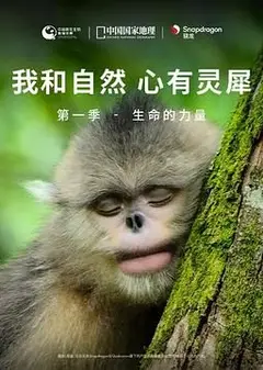 《我和自然 心有灵犀》第一季 - 生命的力量