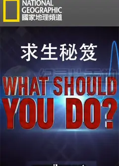 求生秘笈