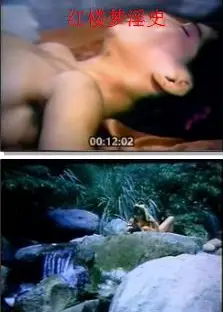 红楼梦淫史