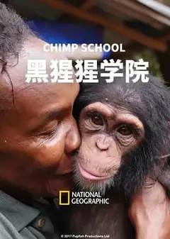黑猩猩学院