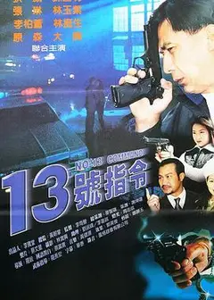 十三号指令