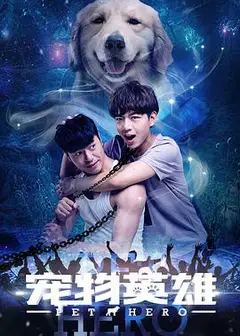 宠物英雄