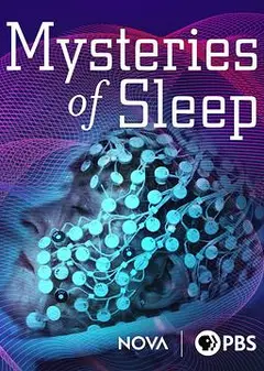 睡眠之谜
