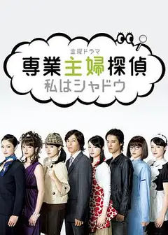 专业主妇侦探