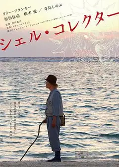 贝壳收藏家