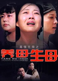 真情无限之养母生母