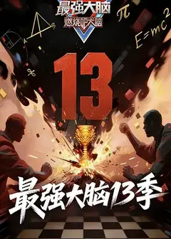 最强大脑第十三季