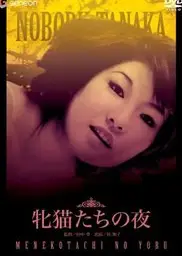 性感野猫之夜