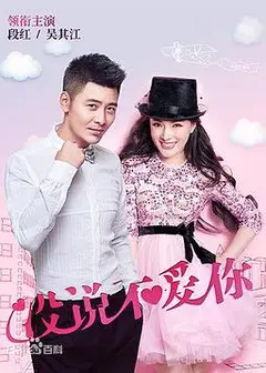 没说不爱你