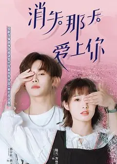 消失那天爱上你