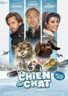 猫狗大乱斗