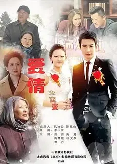 爱情变变变