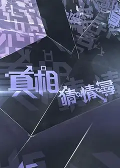 真相猜·情·寻