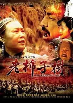 老柿子树
