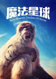 魔法星球