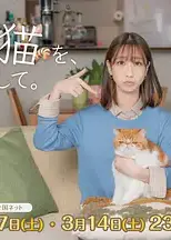 我收留了前男友的猫