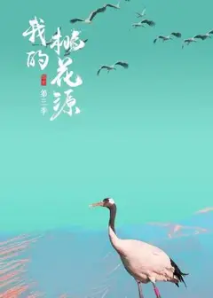 我的桃花源第三季