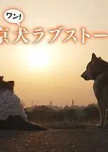 东京犬爱情故事