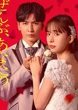 一切都是为了你