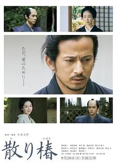 山茶花飘零
