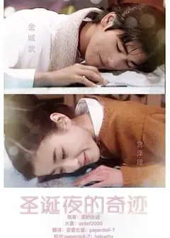 圣诞夜的奇迹1995