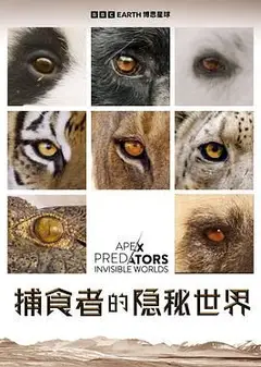 捕食者的隐秘世界