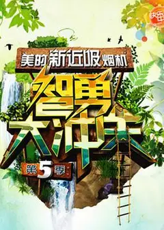智勇大冲关 第五季