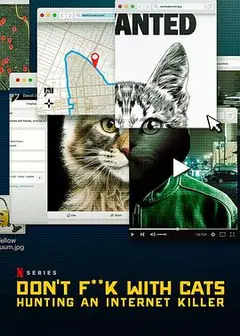 别惹猫咪：追捕虐猫者