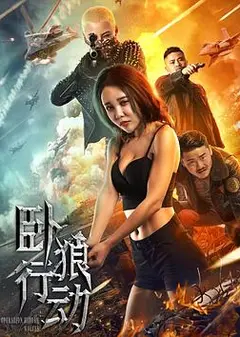 卧狼行动2023