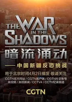 暗流涌动——中国新疆反恐挑战