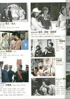 大家庭粤语
