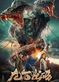 龙石密码