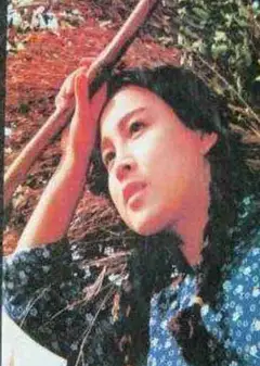 部落性冲突
