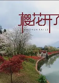 樱花开了