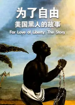 为了自由：美国黑人的故事