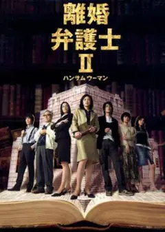 离婚女律师2