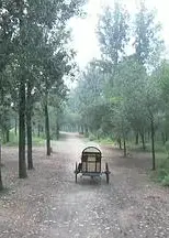 错门记