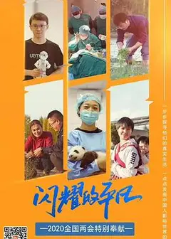 闪耀的平凡