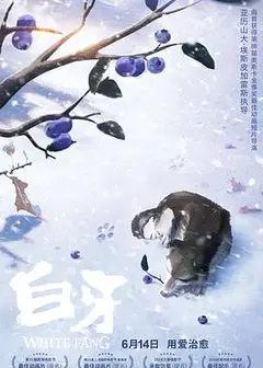 白牙