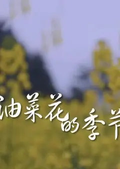 油菜花开的季节