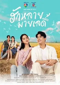 亲爱的女士