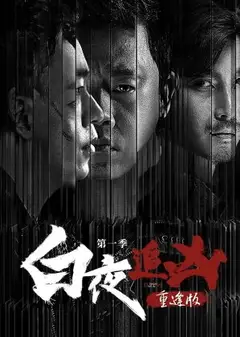 白夜追凶第一季重逢版