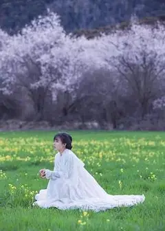 李子柒古香古食全集