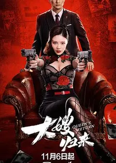 大嫂归来