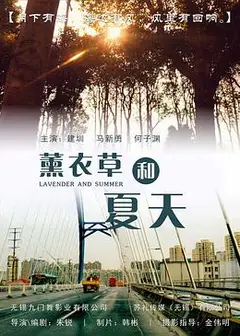 薰衣草和夏天
