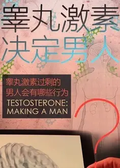睾丸激素决定男人
