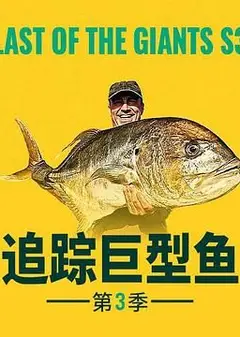 追踪巨型鱼 第三季